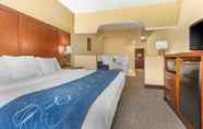 Kamar Tidur 3 Comfort Suites Findlay I-75