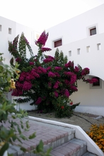 Exterior 4 Naxos Palace Hotel