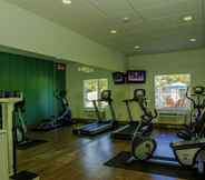 Fitness Center 3 Holiday Inn Express St. Petersburg North (I-275), an IHG Hotel