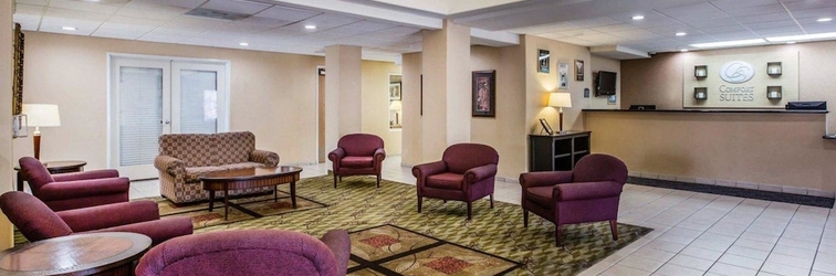 Lobby Comfort Suites Marysville - Yuba City