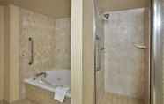 In-room Bathroom 6 Holiday Inn & Suites Ann Arbor Univ Michigan Area, an IHG Hotel