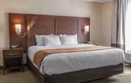 Kamar Tidur 4 Comfort Suites Wixom