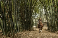 Trung tâm thể thao Hacienda San Gabriel de las Palmas