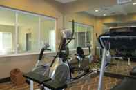 Fitness Center Comfort Inn & Suites Galt - Lodi North