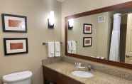 In-room Bathroom 4 Holiday Inn Express And Suites Milwaukee Nw Park Place, an IHG Hotel