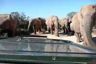 Swimming Pool Gorah Elephant Camp