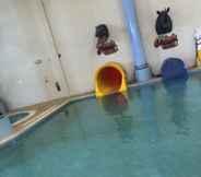 Swimming Pool 3 Fairfield Inn & Suites by Marriott Watervliet St. Joseph