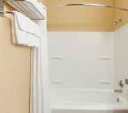 In-room Bathroom 2 Microtel Inn & Suites by Wyndham Rogers