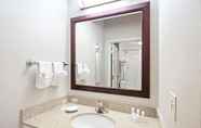 In-room Bathroom 7 SpringHill Suites by Marriott Denver Airport