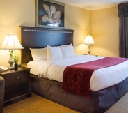 Bedroom 7 Comfort Suites Fredericksburg North