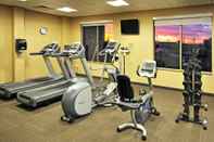 Fitness Center Holiday Inn Express & Suites Vaughan-Southwest