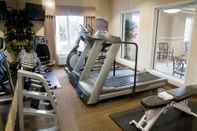 Fitness Center Holiday Inn Express Hotel & Suites Vestal, an IHG Hotel