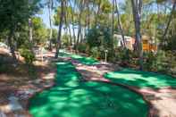 Swimming Pool Iberostar Pinos Park