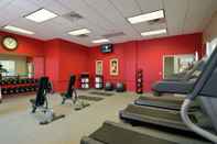 Fitness Center Hilton Garden Inn Lake Forest Mettawa