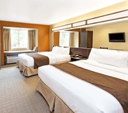 Bilik Tidur 3 Microtel Inn & Suites by Wyndham Woodstock/Atlanta North