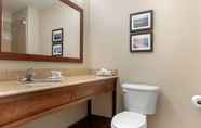 In-room Bathroom 5 Comfort Inn & Suites Port Arthur-Port Neches