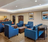 Sảnh chờ 3 Comfort Inn & Suites Port Arthur-Port Neches