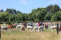 Fitness Center Silverstream Alpaca Farmstay and Tour