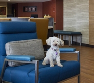 Lobby 5 TownePlace Suites by Marriott Austin Round Rock