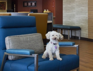 Lobby 2 TownePlace Suites by Marriott Austin Round Rock