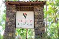 ภายนอกอาคาร Tulip Of Ceylon
