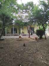 Bangunan 4 Guests & Dogs House Hale Ilio