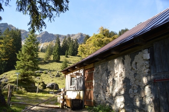 ภายนอกอาคาร 4 Bergsteiger-Hotel Grüner Hut