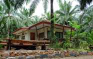 Luar Bangunan 3 Tonpalm Farmstay