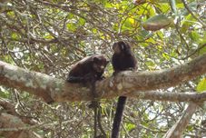 Entertainment Facility Pousada Arcádia