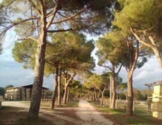 Exterior 2 Relais La Roccaccia Universita' Agraria