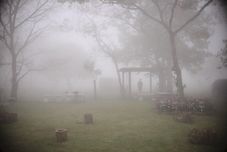 Entertainment Facility Bosque Da Neblina