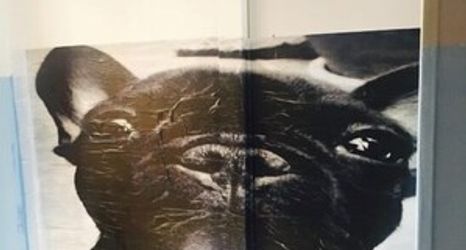 ロビー 2 Hostel Central Curitiba