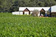 Exterior Vineyard Cottage at Upper Reach Winery