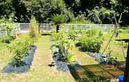 Common Space 4 Kitchen Garden