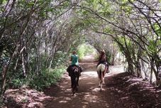 健身中心 Itacaré EcoRanch