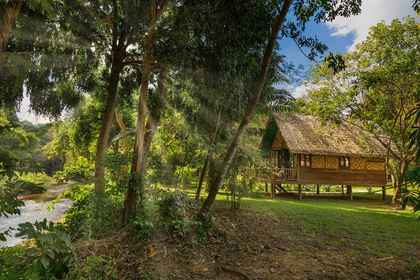 Our Jungle Camp - Eco Resort, Parque Nacional de Khao Sok – Preços  atualizados 2023