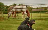 Ruang untuk Umum 7 Pine Tree Lodge Bridgnorth