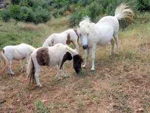 Bên ngoài 4 Menina Farm