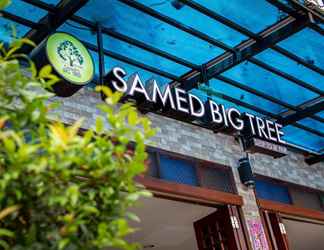 ภายนอกอาคาร 2 Samed Big Tree