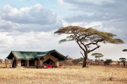 Pumzika Luxury Safari Camp - East Africa Camps in Serengeti