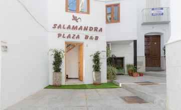Exterior 4 Salamandra Plaza B&B