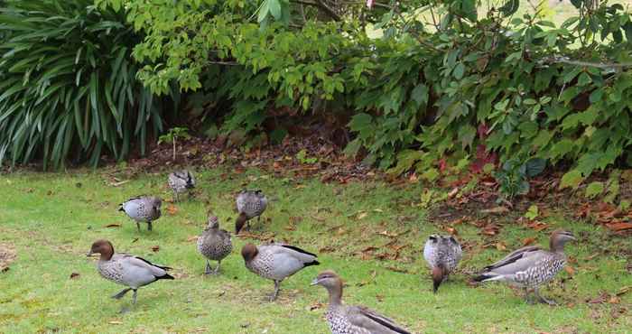 Common Space Leura Fairways East