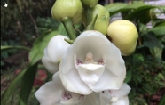 Bên ngoài 3 Orquideas del Tolima