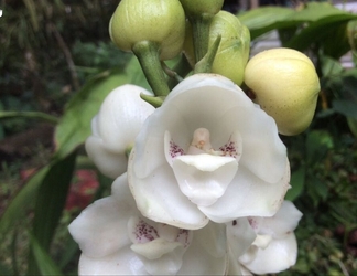 Bên ngoài 2 Orquideas del Tolima