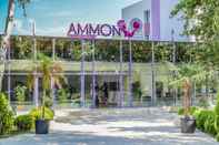 Exterior Ammon Hotel Venus