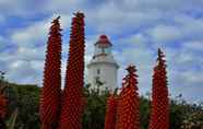 Atraksi di Area Sekitar 2 Walkerbay Accommodation