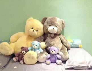 Bangunan 2 Homestay in Johor - Bear House