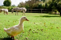 Khu vực công cộng La Ferme D'ervée de Saint-Roch