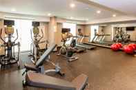 Fitness Center Holiday Inn Lexington - Hamburg, an IHG Hotel