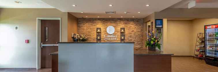 Lobby Comfort Inn & Suites – Harrisburg Airport – Hershey South